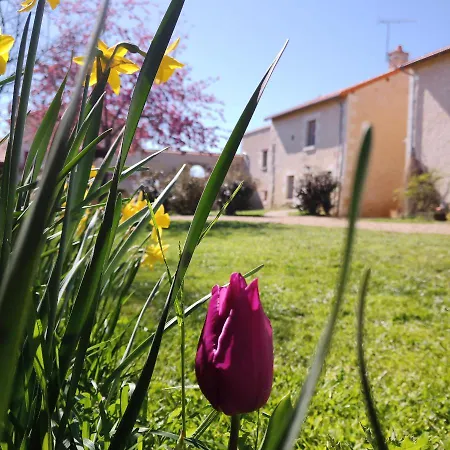 Villa Au Repos Des Elfes Braye-sous-Faye Exterior foto