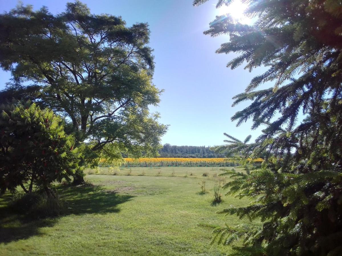 Au Repos Des Elfes *