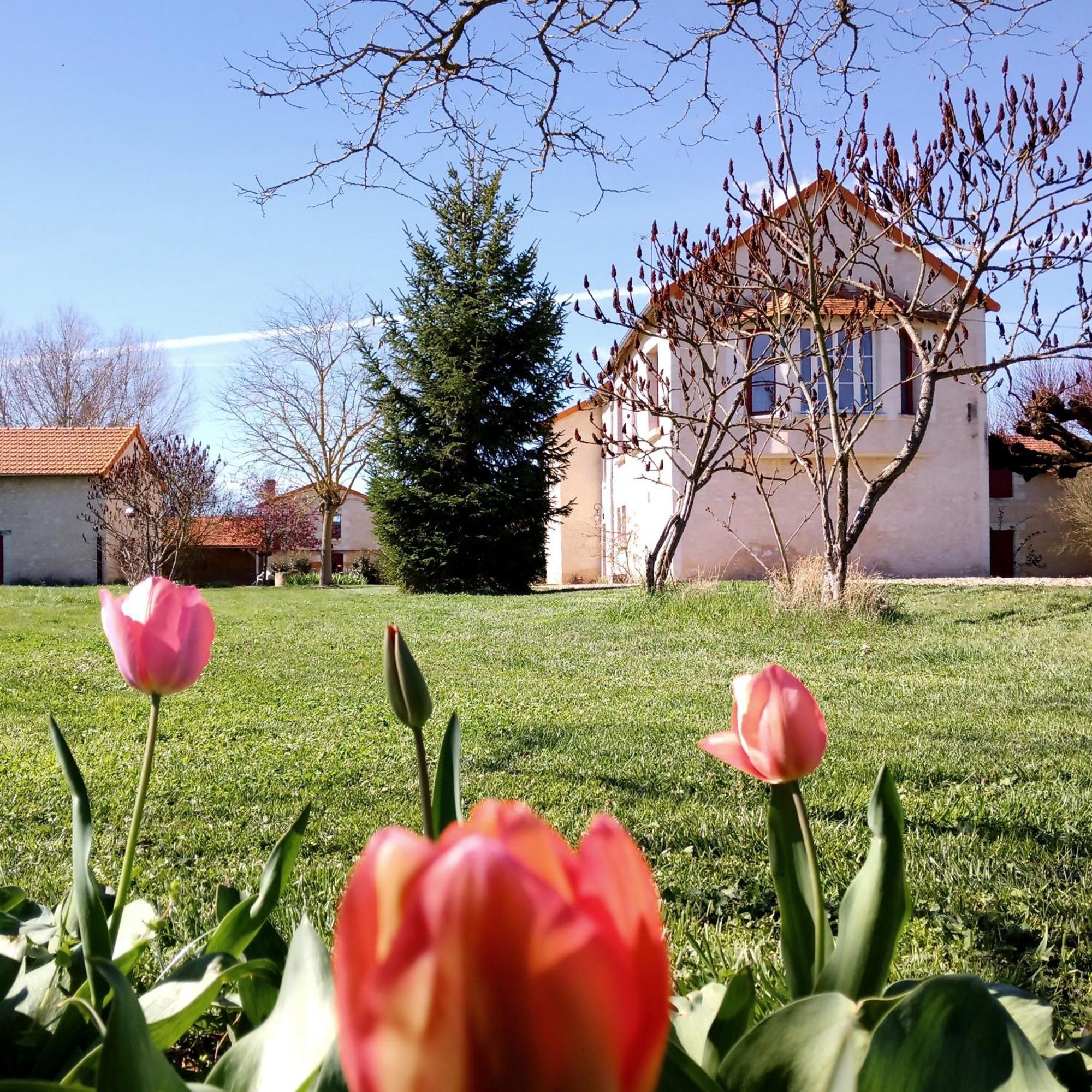 Au Repos Des Elfes